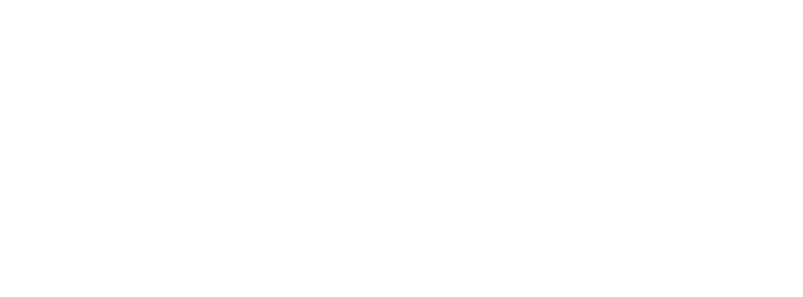 Pokerpraxis Logo